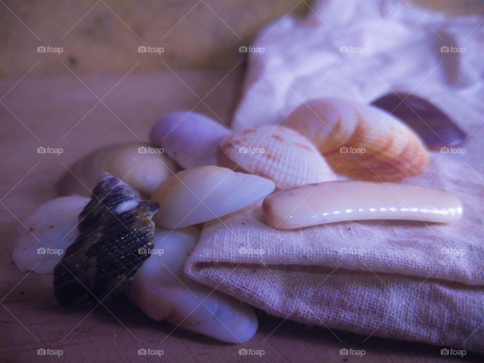 This is a creative idea. There are sime sea shells on the piece of cloth on the surface. most of these sea shells are in white colour. one seashell can be see in black colour. however this is a creative idea .๐