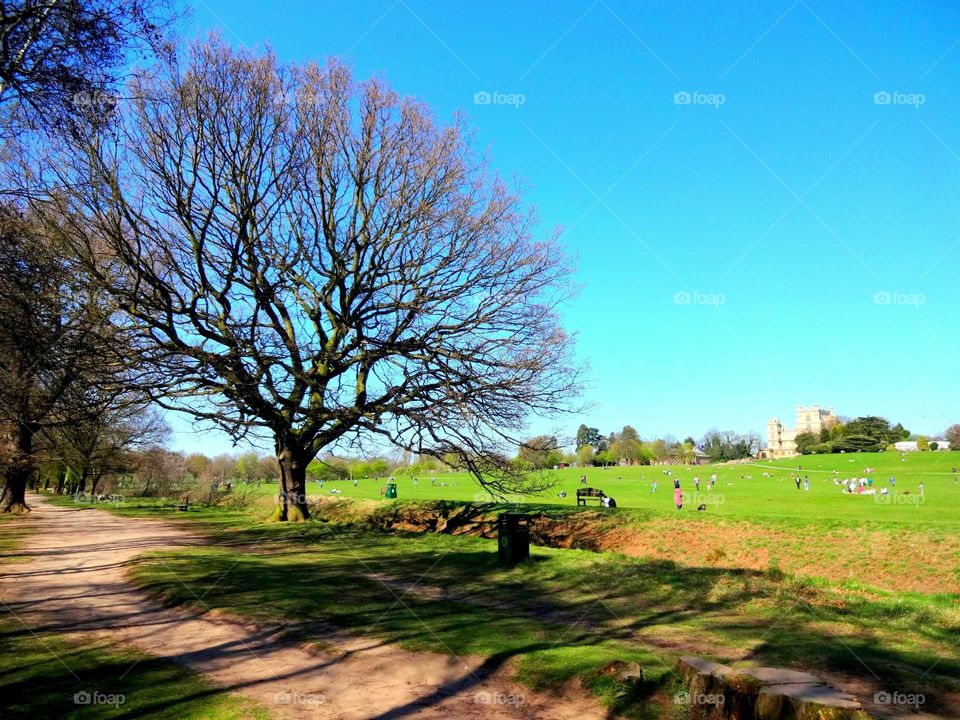 landscape of family leisure activities