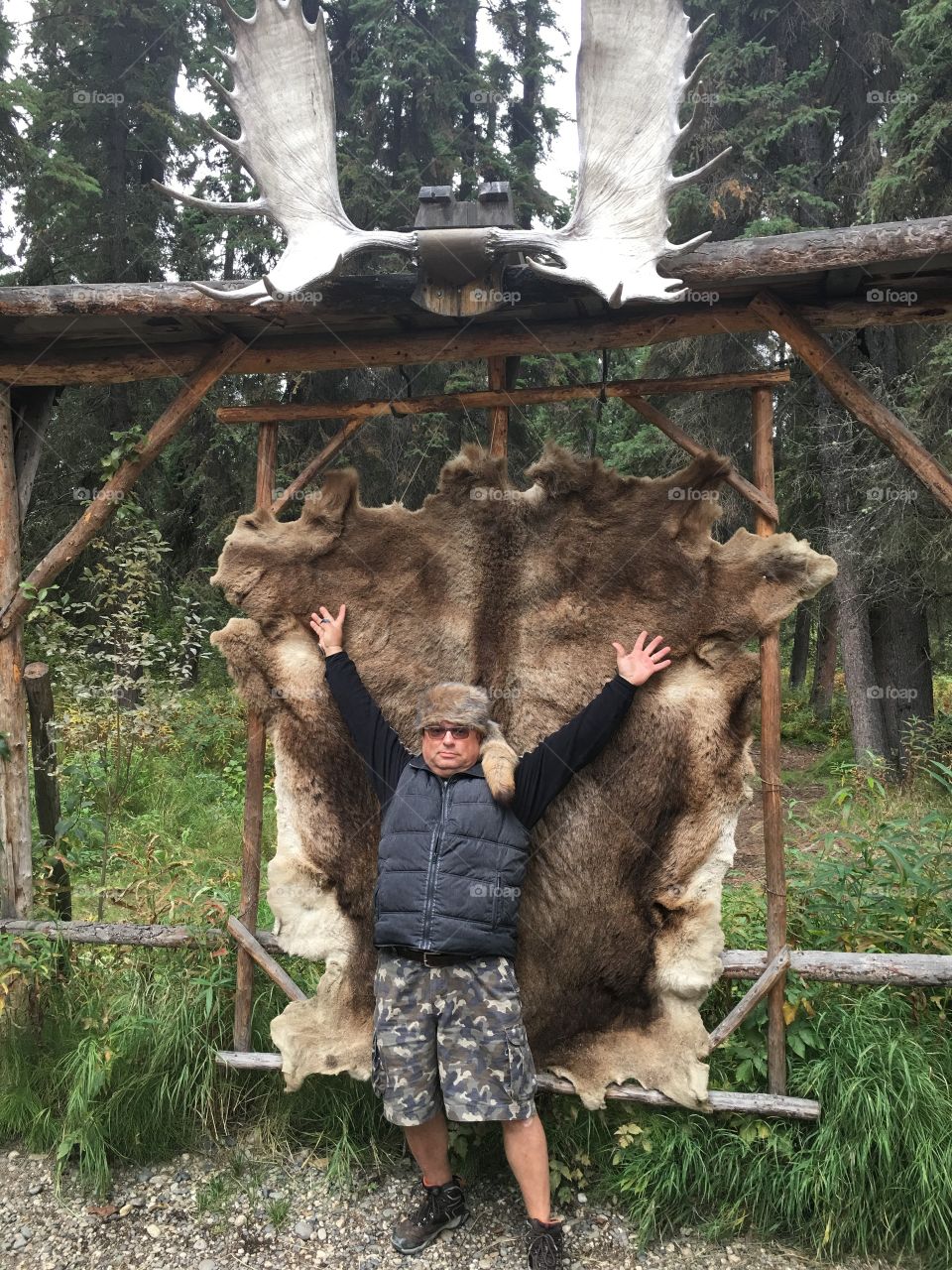Alaska bear hide