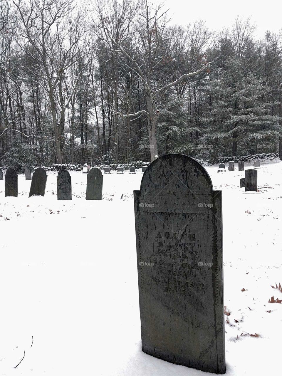 Winter, Snow, No Person, Cemetery, Tree