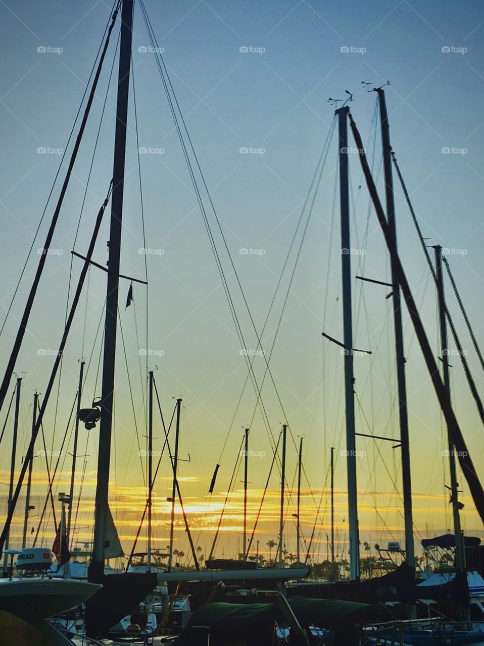 Foap Mission The Sunlight And Moonlight! Sunrise In The Harbor San Diego California!