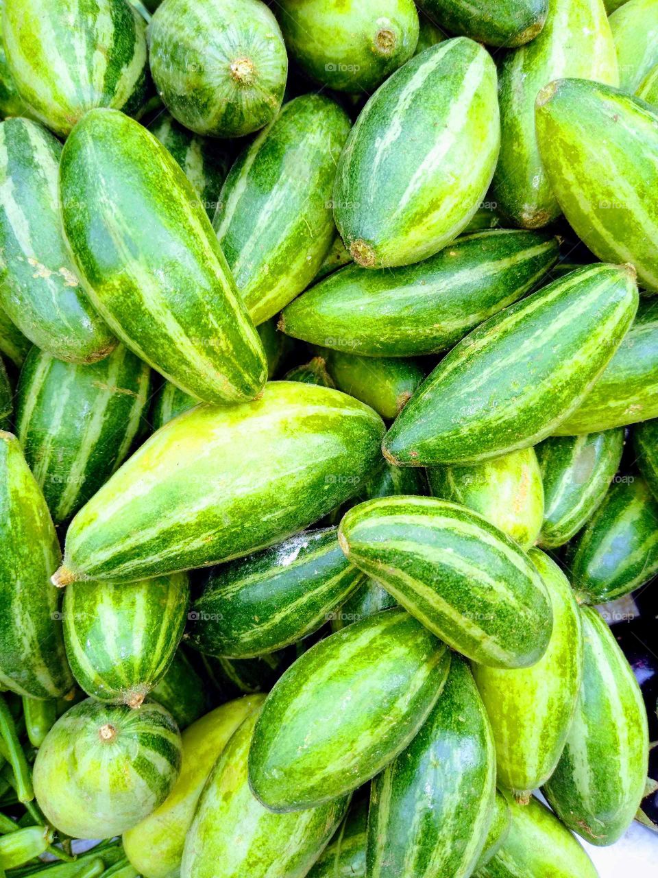 pointed gourd , lvy gourd
