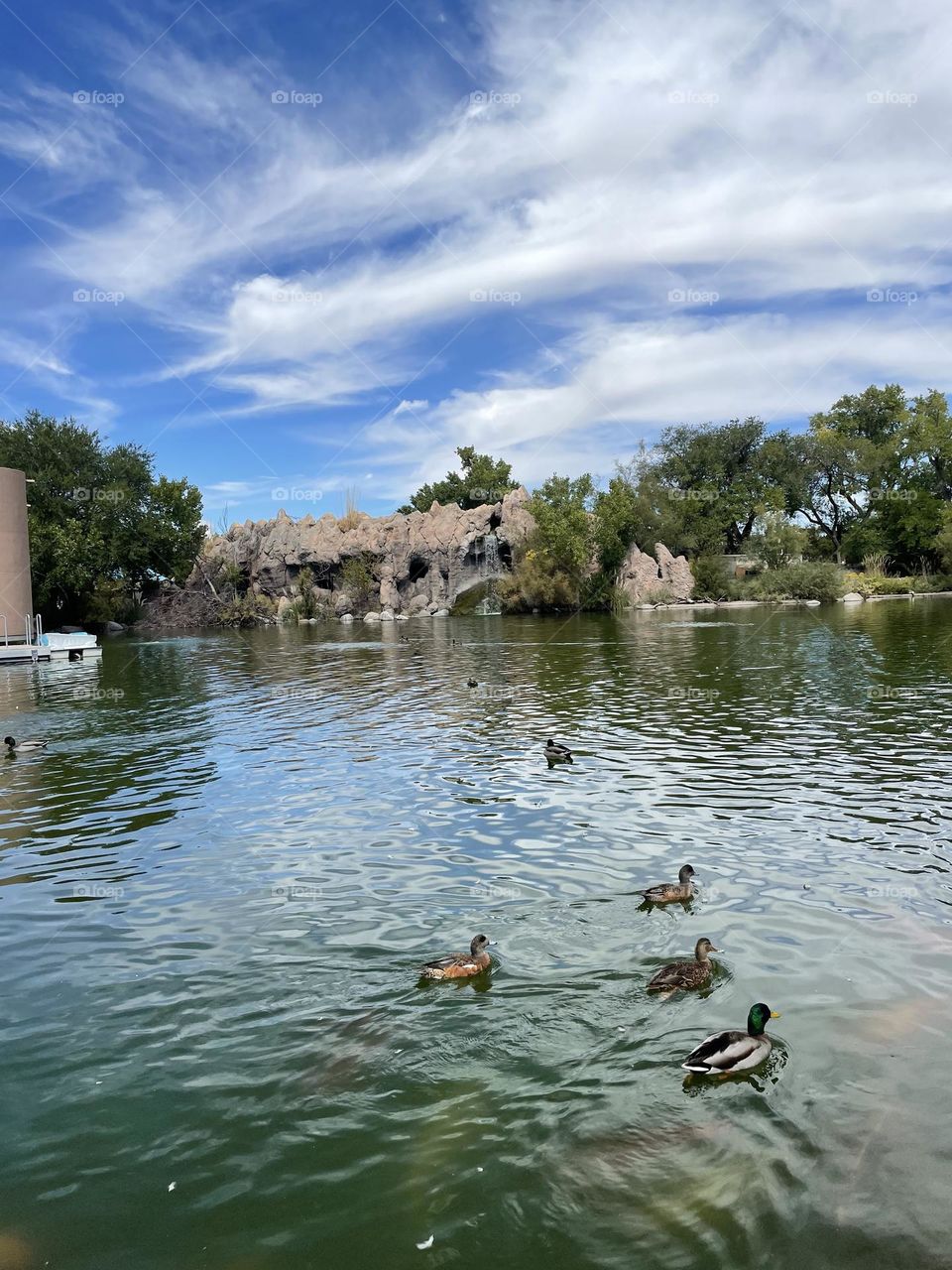 Happy relaxing environment.