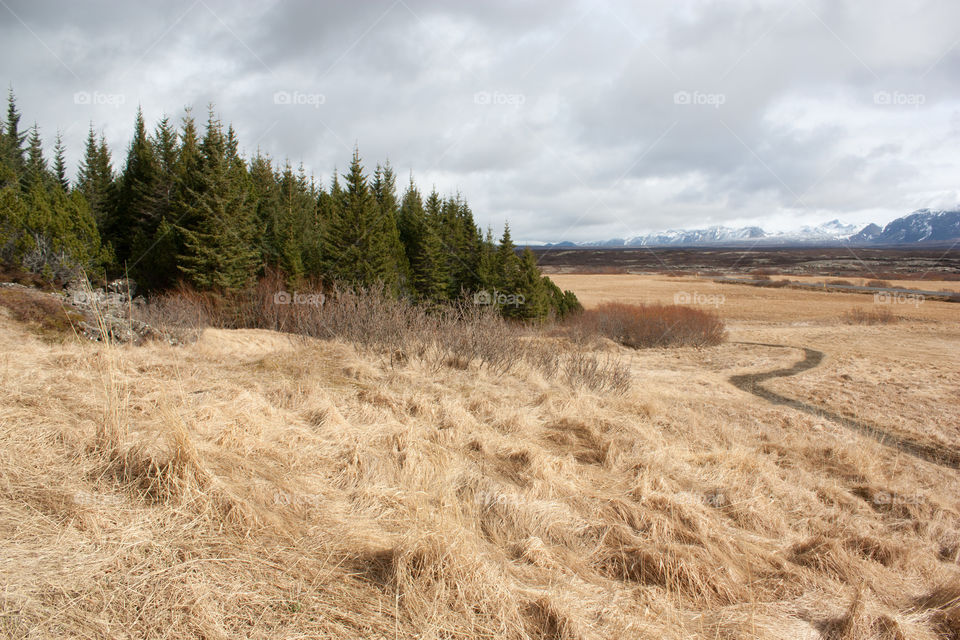 Iceland thingvellir national park 