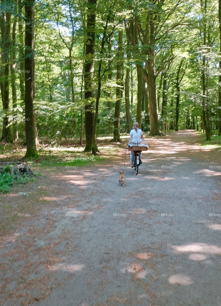 A bike  ride in the forest with a dog