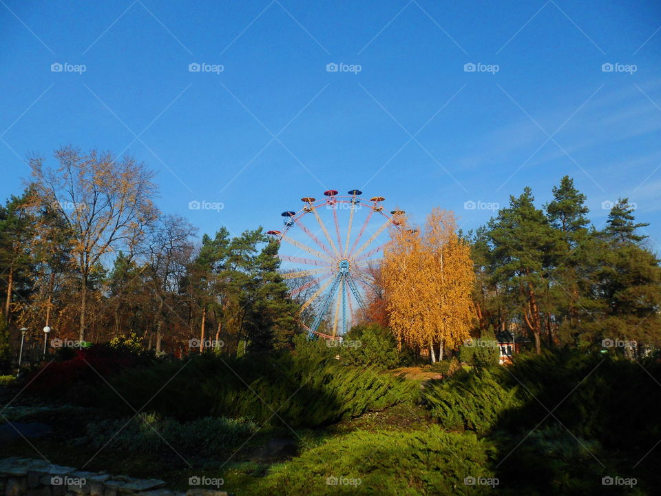 early autumn in the park of Kiev