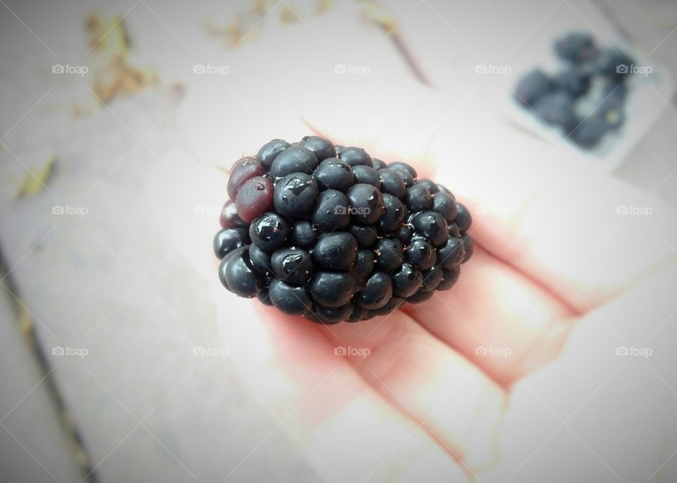 Blackberry