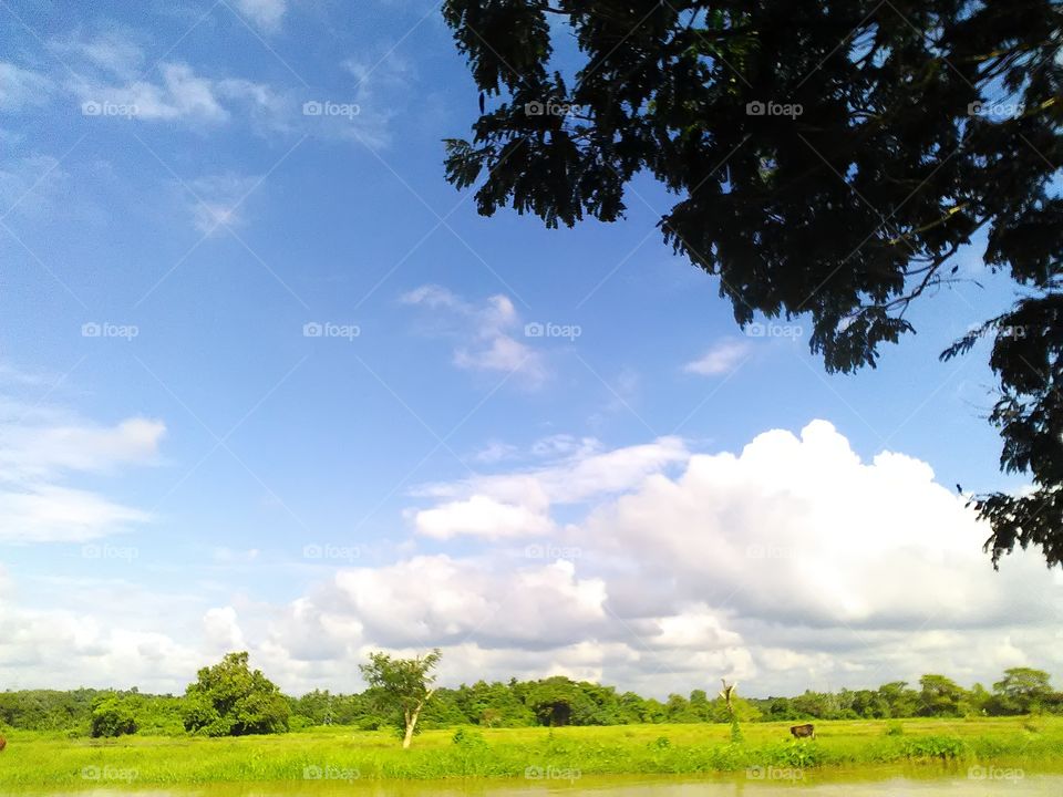 bright sunshine pouring on to the Eye soothing paddy fields  surrounded by the forests and the lake.. What a wonderful day to rejoice and enjoy