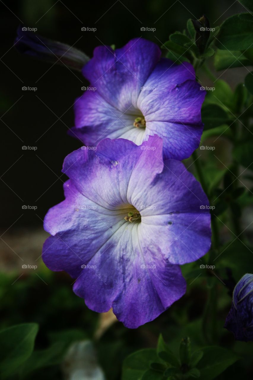 a photographers point of view