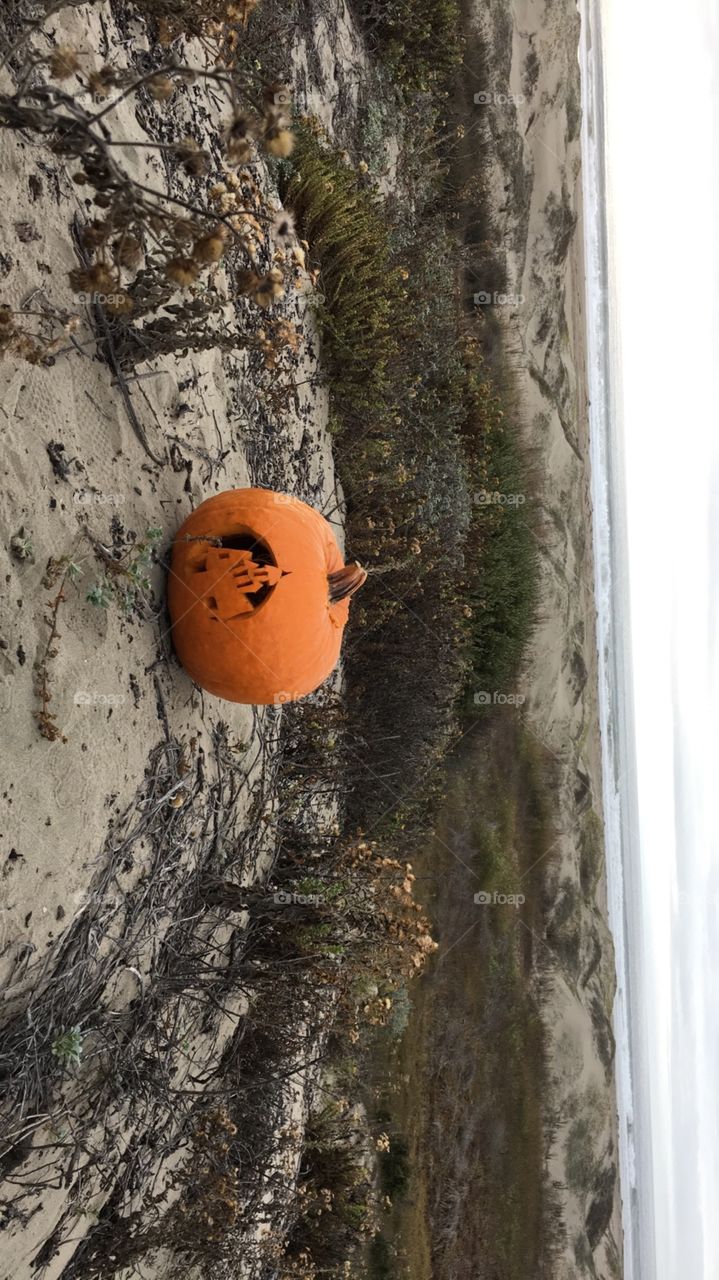 Carved Pumpkin on the beach of Morro Bay California 