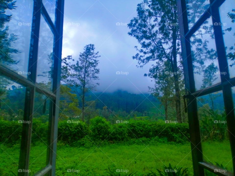 The beauty of Sri Lanka