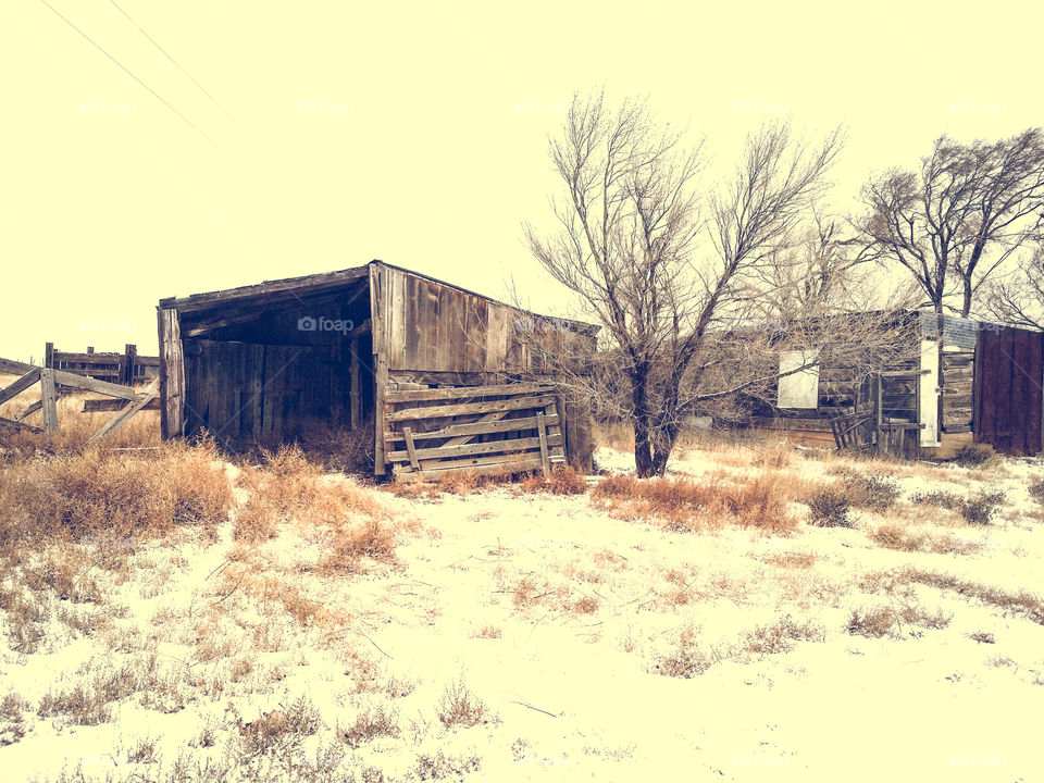 Old Barn in Winter
