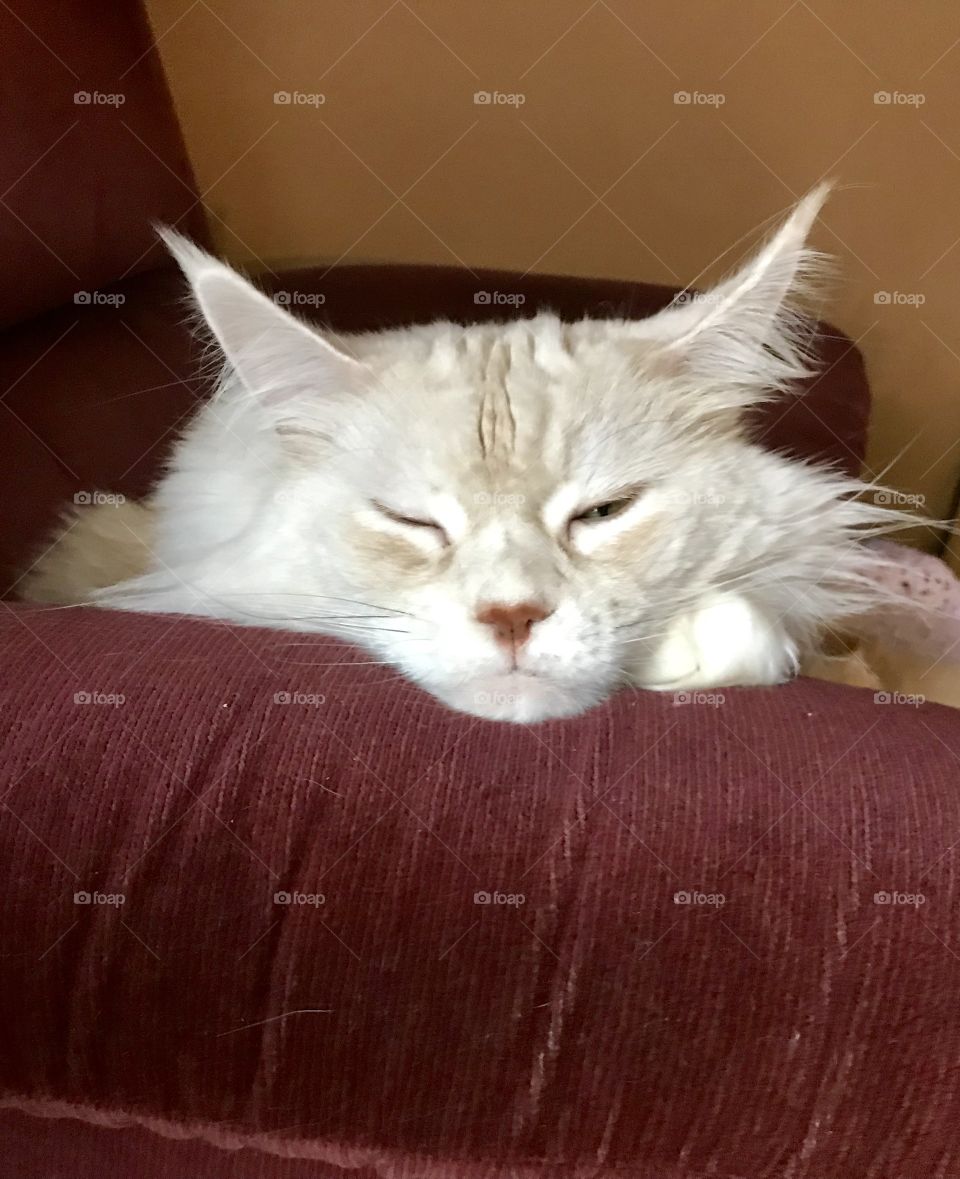 You’re still bothering me....