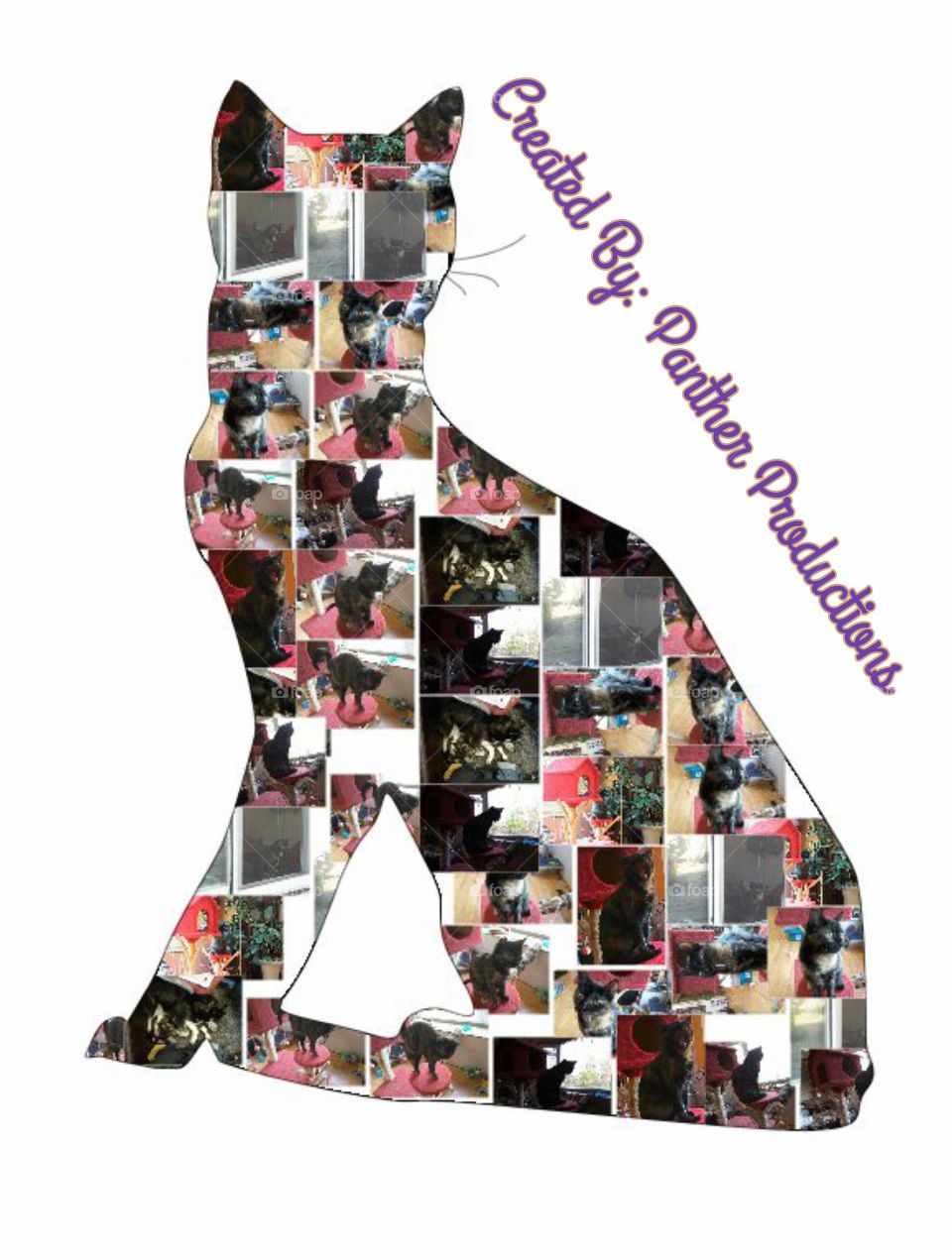 Cat Mosaic~Created By Panther Productions : an example picture collection of my kitty (please contact to see or purchase photos individually!