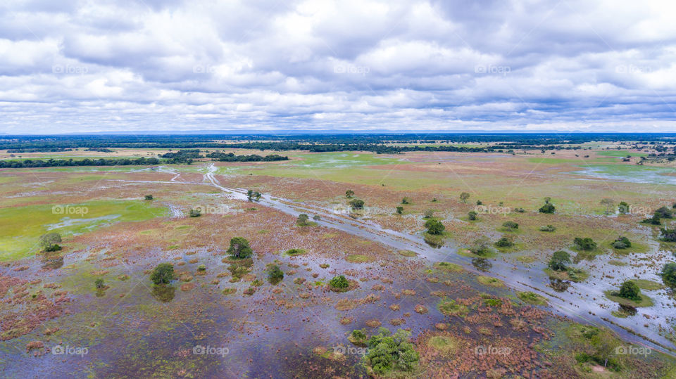 Aerial photo of pantanal. Foto aérea do pantanal.