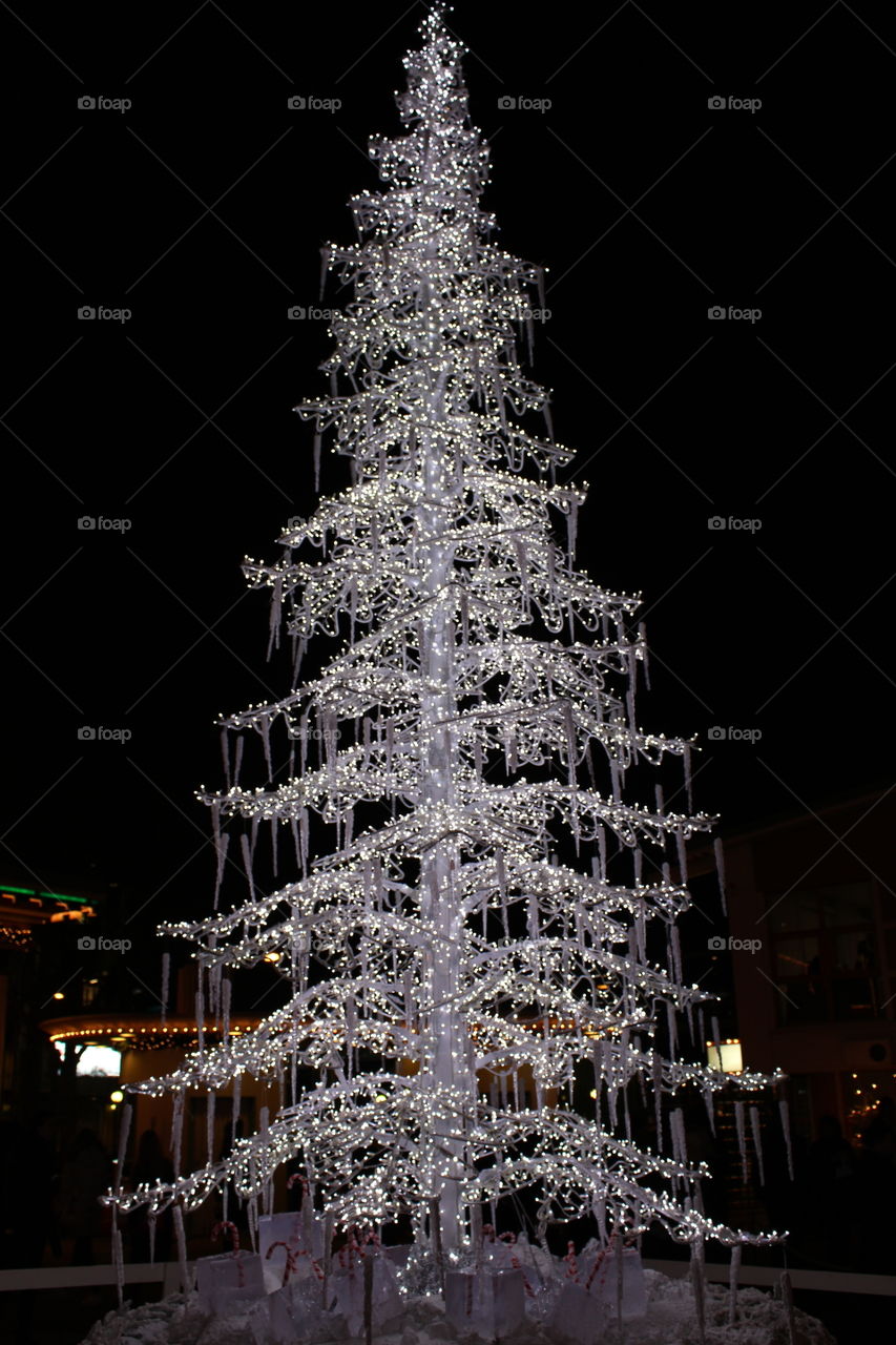 christmas tree in ice
