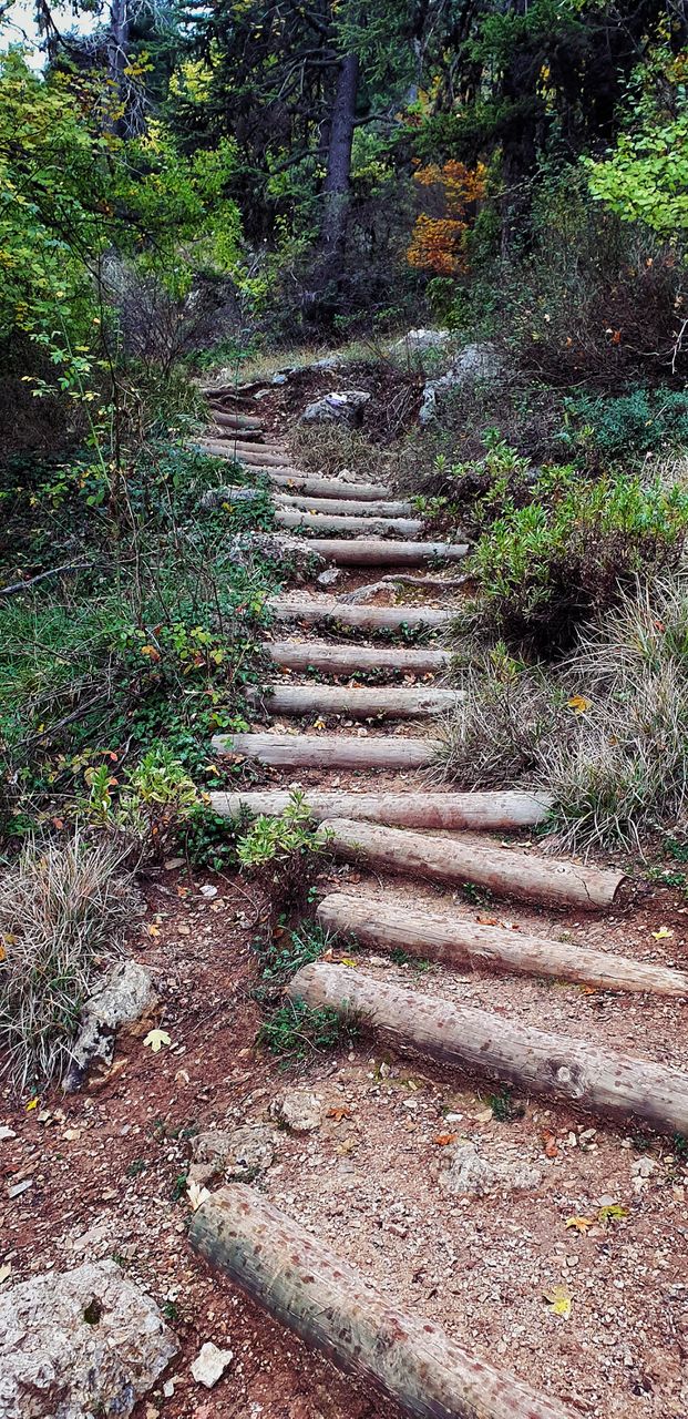 Find your way