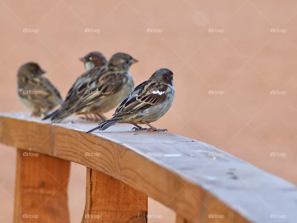 on the handrail