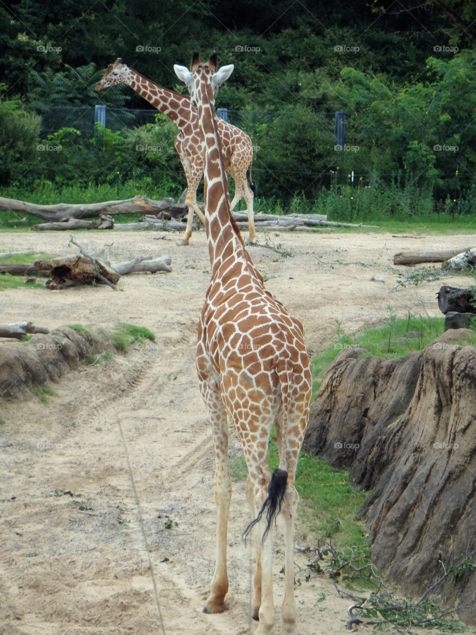 Dallas Zoo