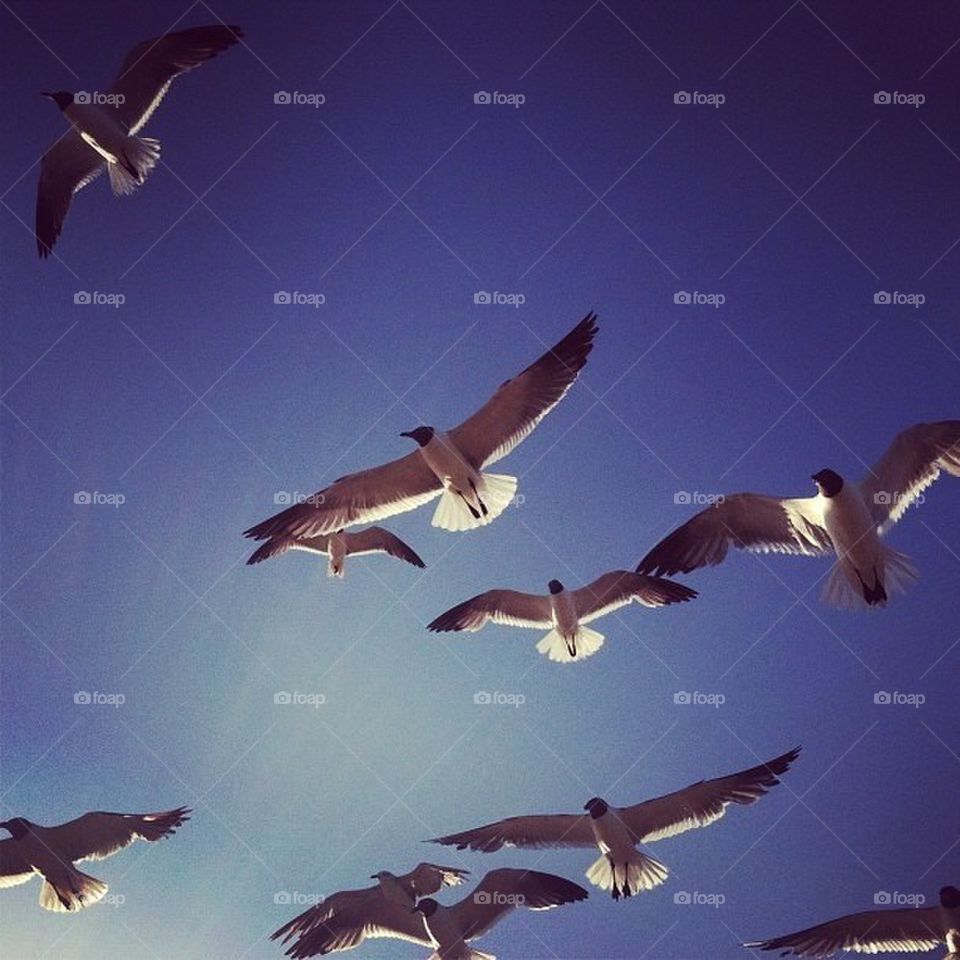 sky blue sunset clouds by itsAus