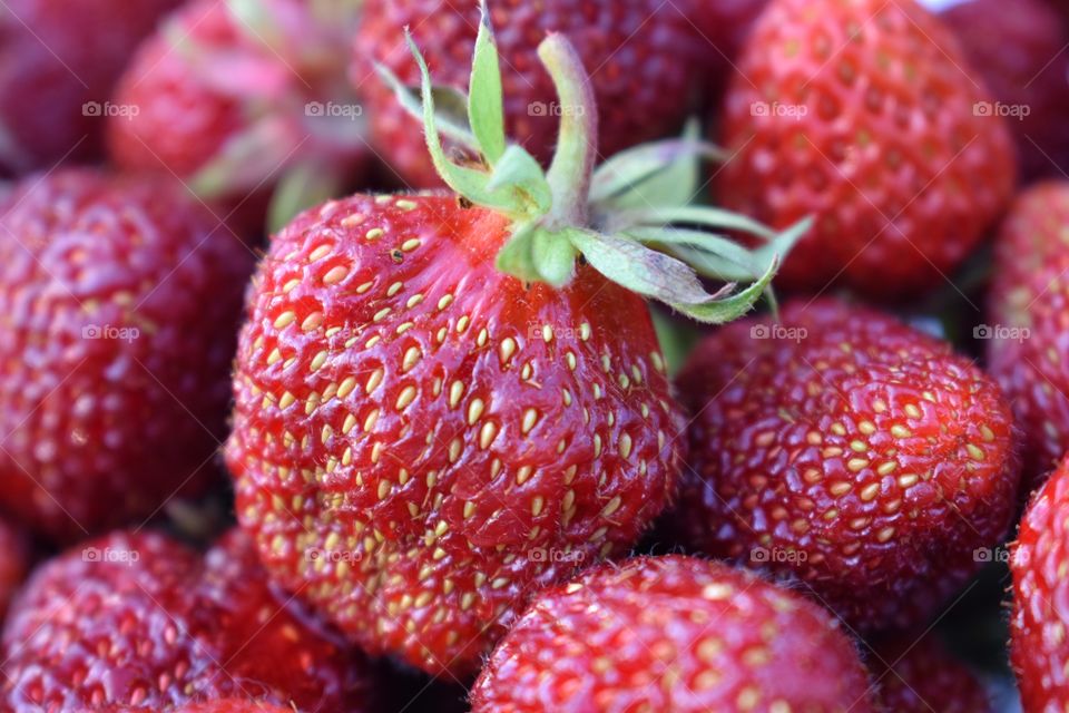 Strawberries