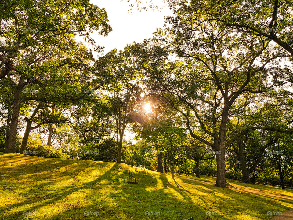 Beautiful day in a park