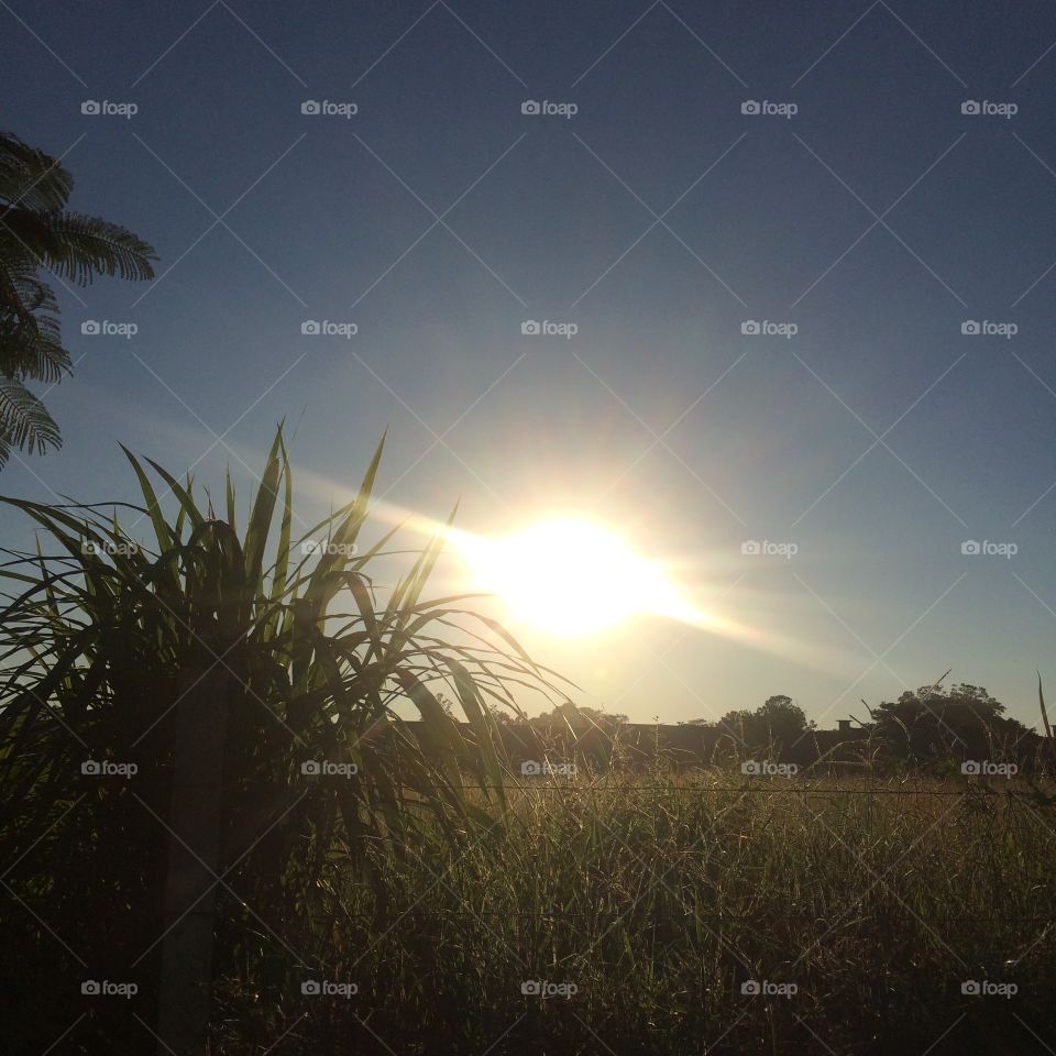 ☀️#Sol muito bonito de #natureza e #beleza indescritíveis.
Obrigado, #MãeTerra. 
🌱
#inspiração #amanhecer #morning #fotografia #paisagem #sun #céu #landscapes 