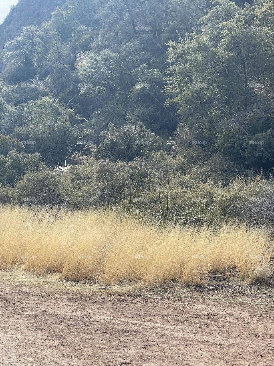 Allows nature’s peace to flow in it.