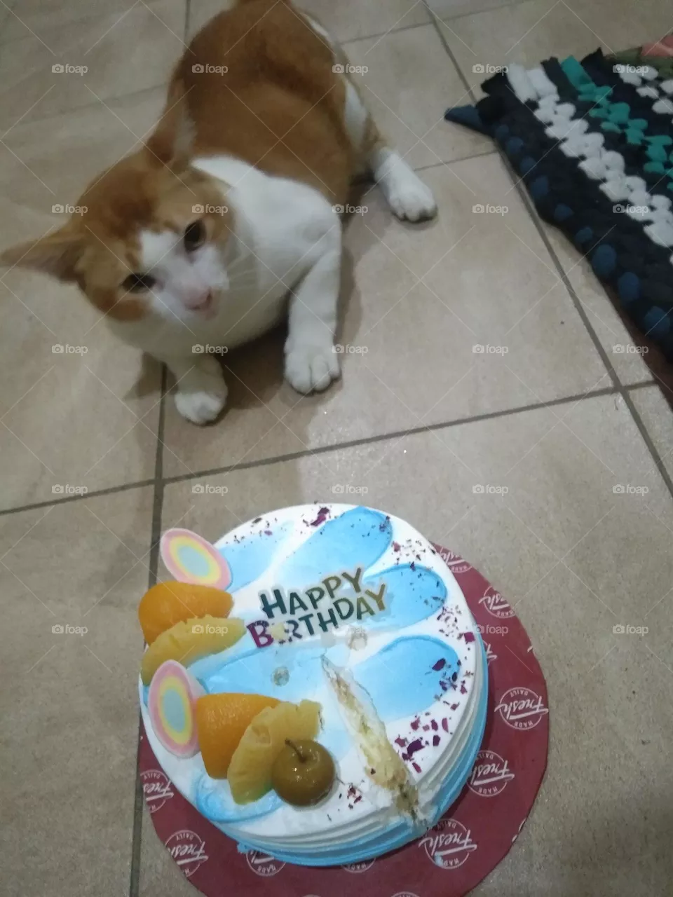 Happy birthday my little tiger