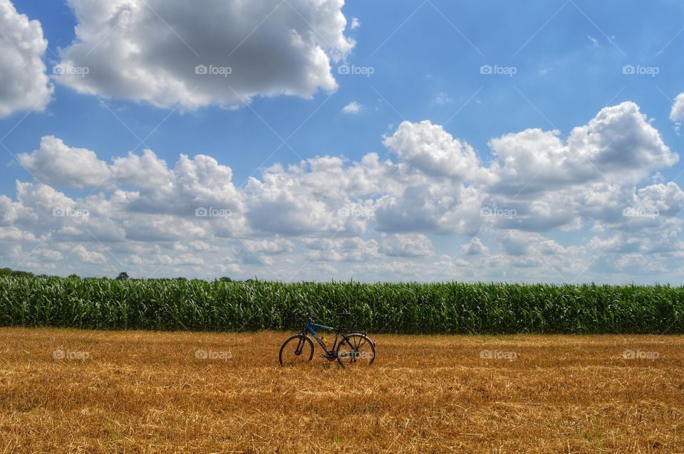 No Person, Agriculture, Farm, Rural, Field