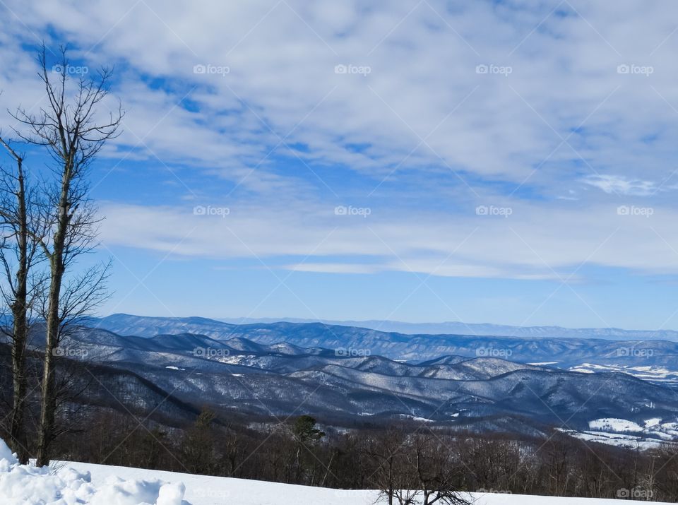 Scenic view of nature in winter