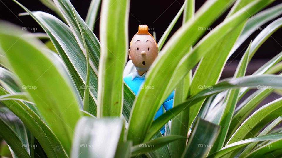 tintin in the middle of nowhere