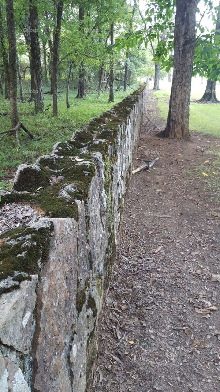 old mossy rock wall