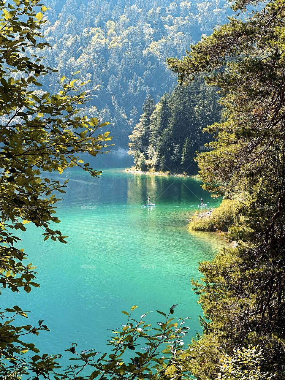 Lake swimming nature 