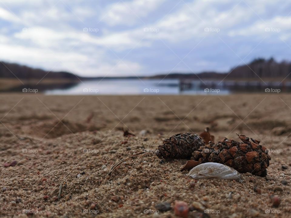 Shell and sand