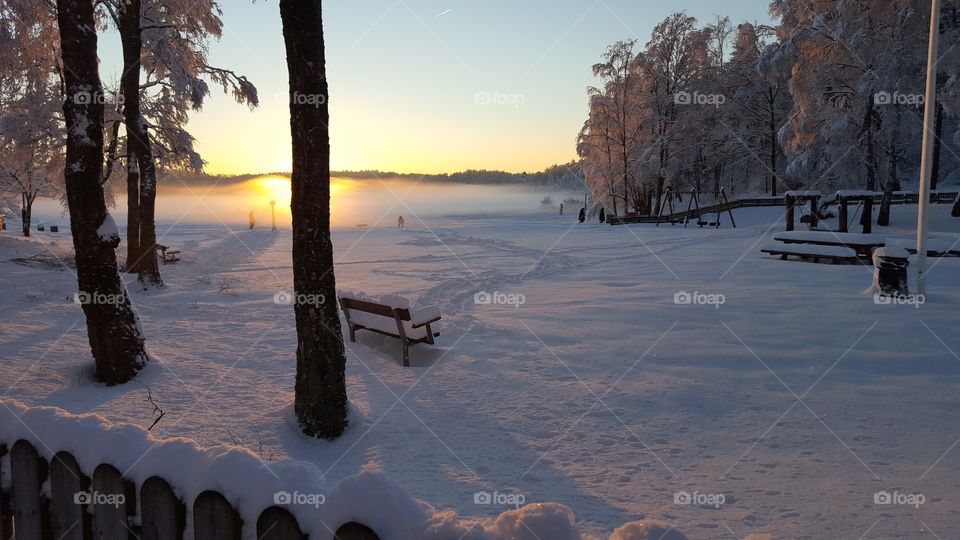 Snowy winter - sunset