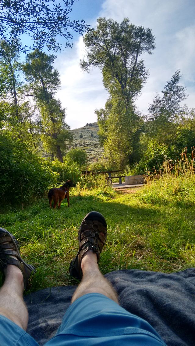 Feet and Dog. Chilling with the pup