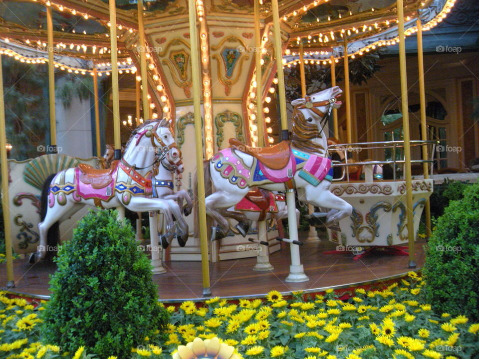 merry go round