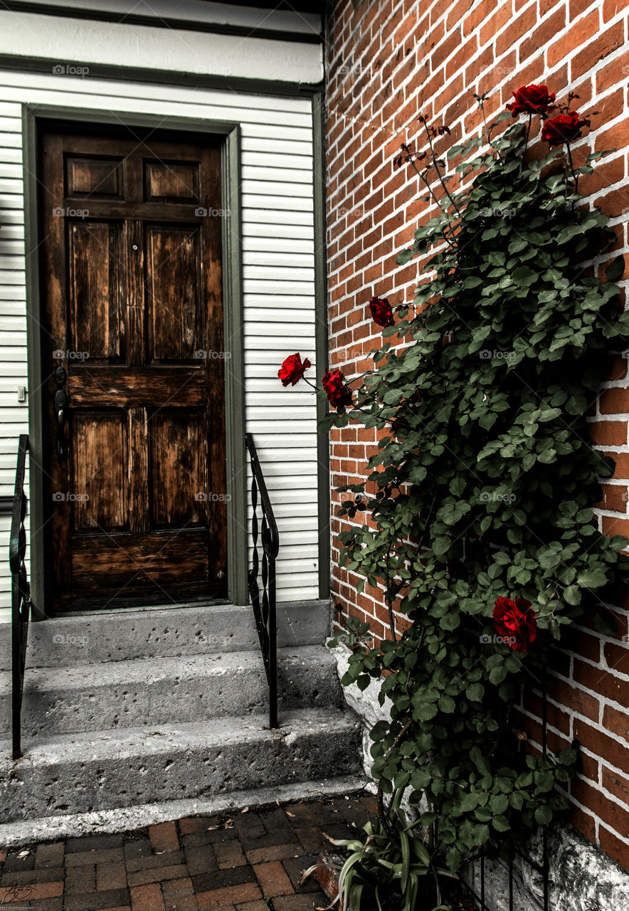Door with roses. Beautiful door in Ohio