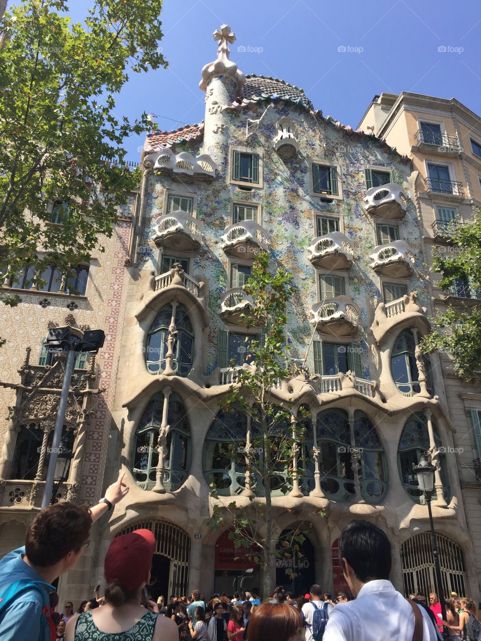 A beauty from gaudi 
