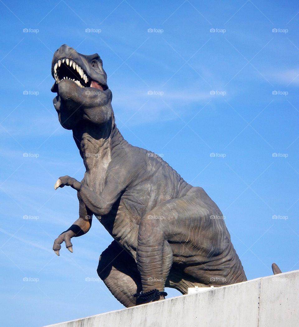 claws jaws sky blue by iDavidHD