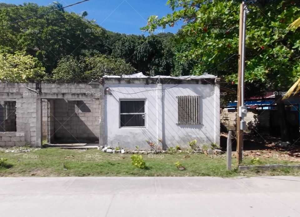 Photo from moving car traveling in Roatan, Honduras