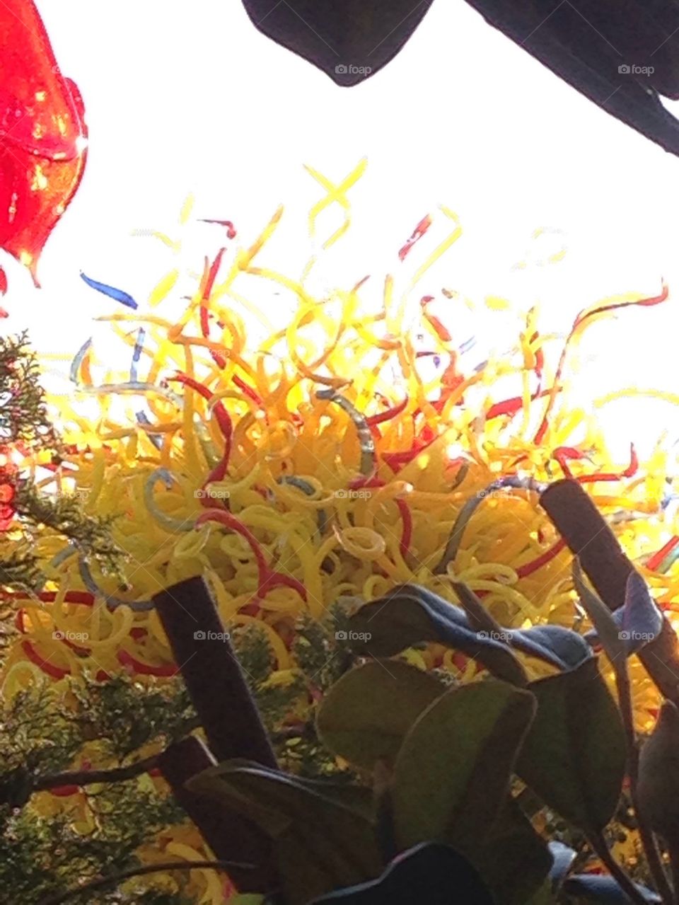 Chihuly Yellow