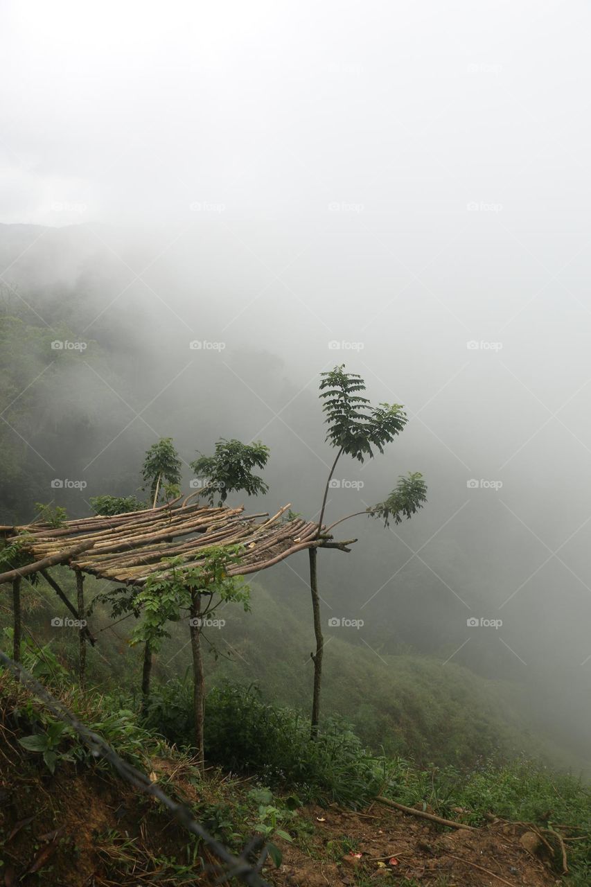 Lost in the jungle in Colombia 