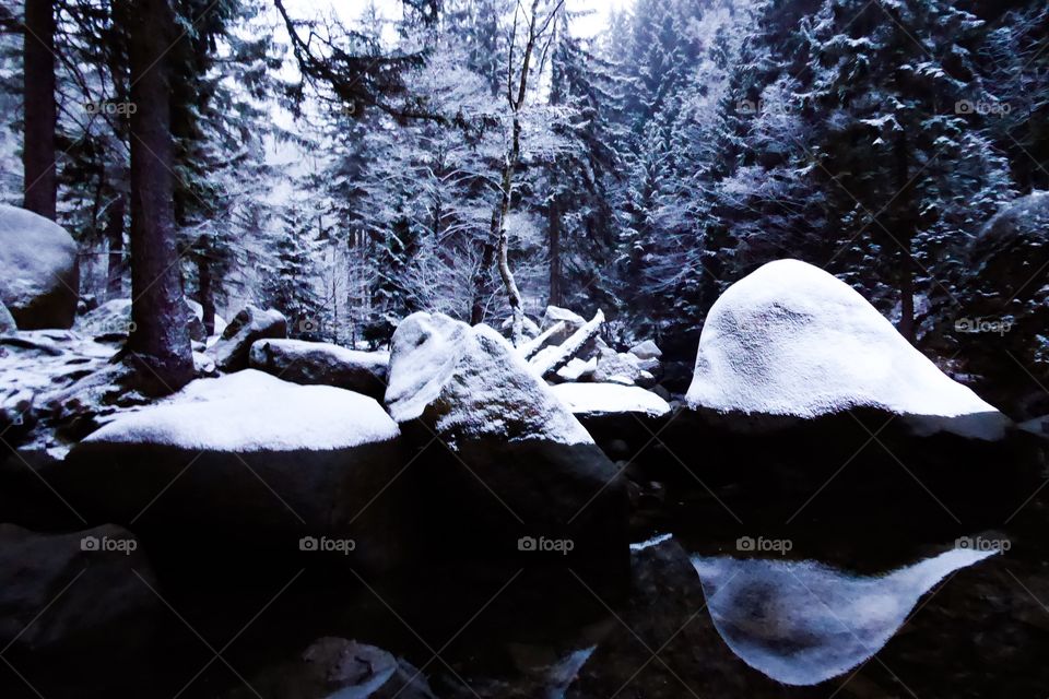 Winter travel - Harz - Niedersachsen 