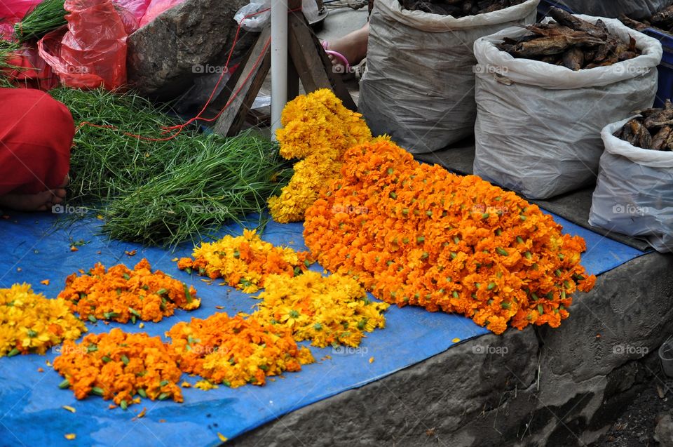 Orange marigold for sale