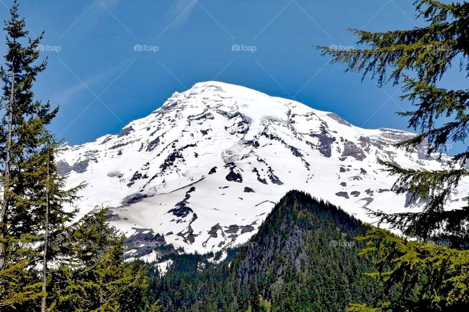 Mount Rainier