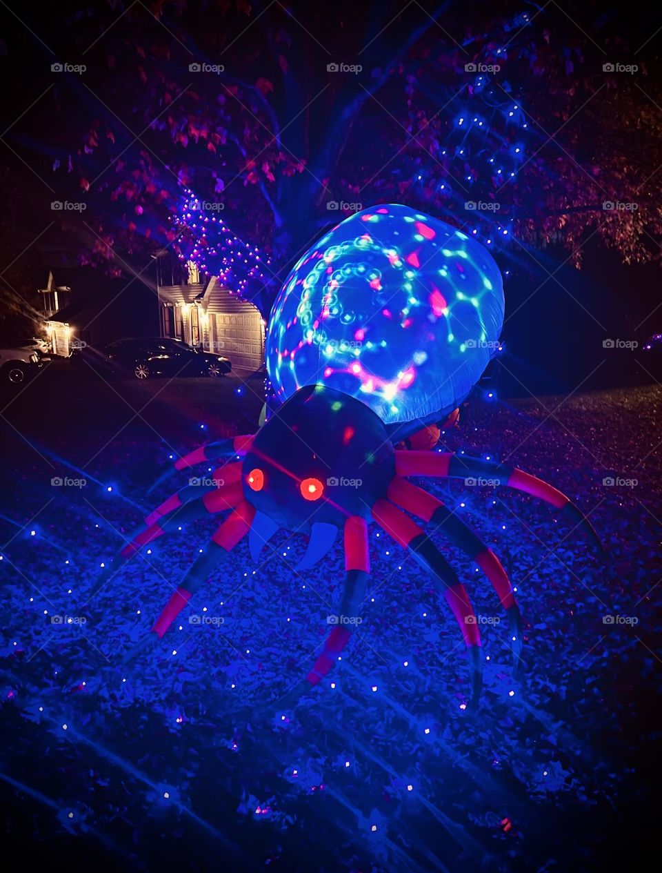 Halloween spider