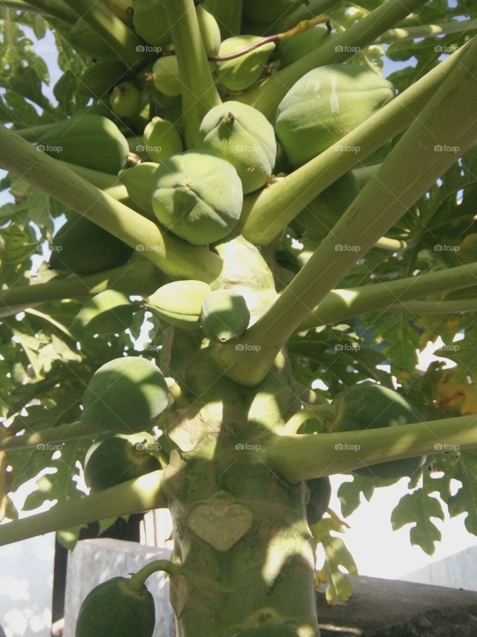 A great photo,a photo for everyone, a memorable photo,a no.  photo,a cherished photo,a beautiful photo,a great photo for the best people,a sample of beautiful photography,nice pics for all