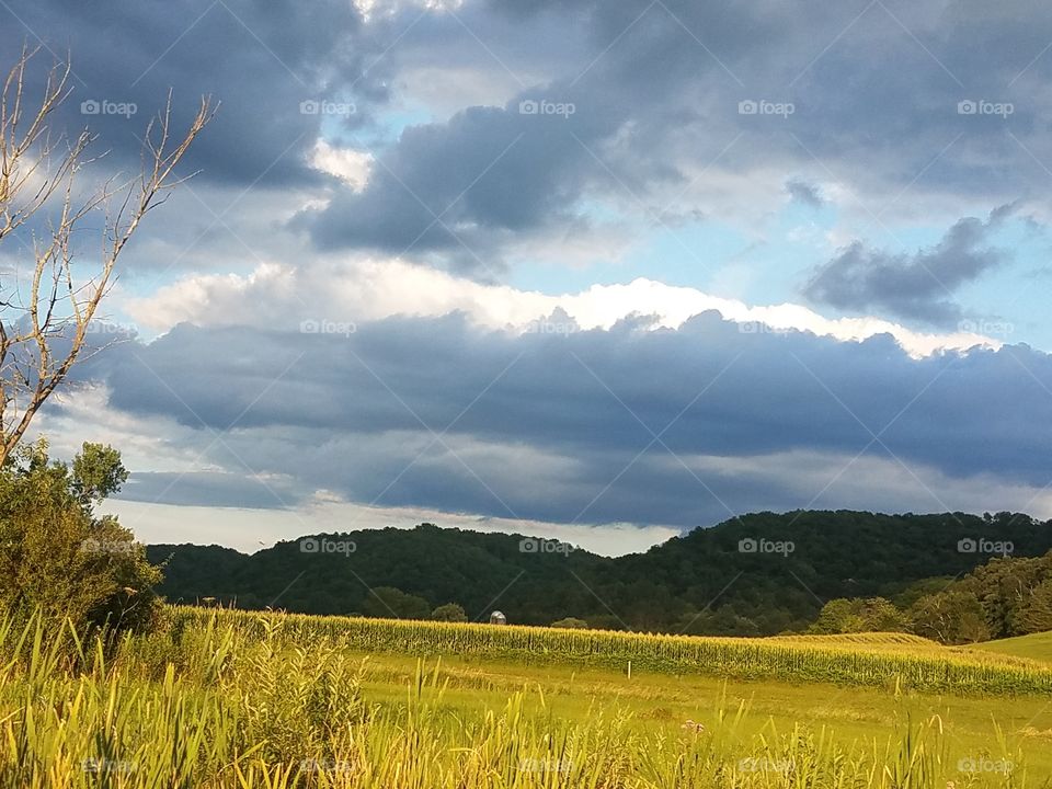 Driving the Back Roads and enjoying everything around us